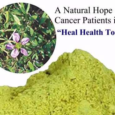 Fagonia Arabica: A Potent Natural Remedy for Thrombosis and Stroke-related Paralysis